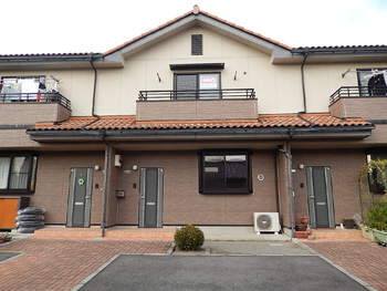 �O��