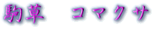 ���܂����@��@�R�}�N�T�@���R�A���̏���