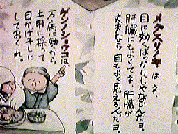 目薬の木