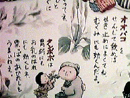 おおばこ