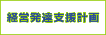 経営発達支援計画