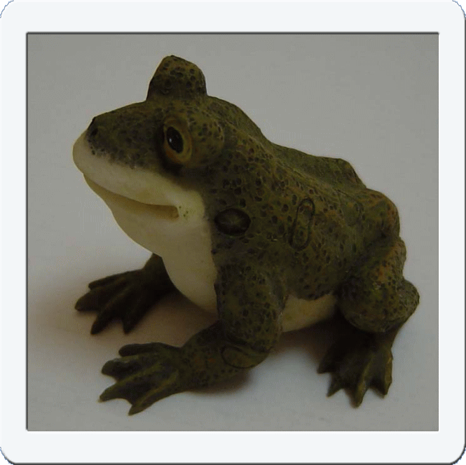 �t���[��